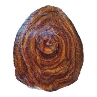 正宗海南黄花梨木料边角料下脚料 海黄原料手把件 雕刻吊牌珠子料