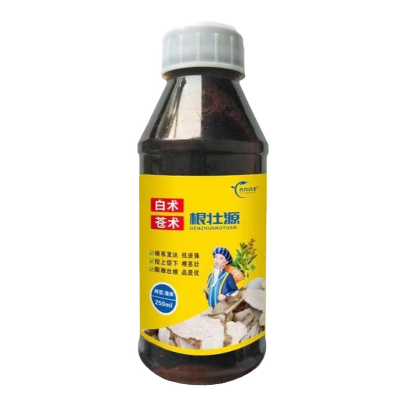 白术壮根肥苍术膨大素材根茎膨大