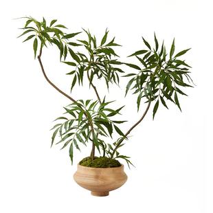 海虹雅林仿真绿植盆栽假植物室内装饰摆件十大功劳高端轻奢永生