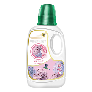 球兰营养液花肥一片心叶球兰专用肥开花肥叶子干瘪黑斑肥料