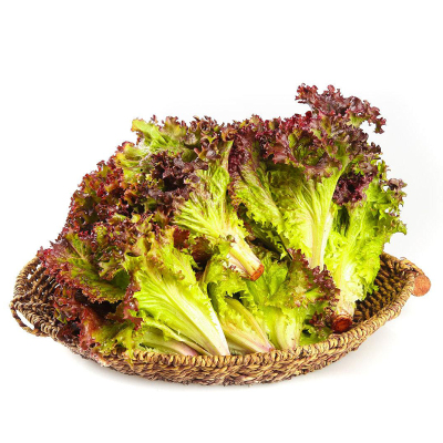 红叶生菜新鲜罗莎红生菜西餐轻食沙拉蔬菜食材生吃紫叶生菜500g