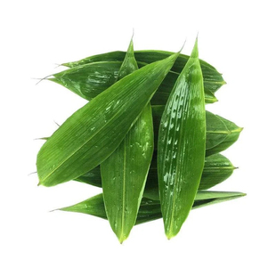 粽叶粽子叶新鲜大号棕叶种竹叶现摘批发特大芦苇包旗舰店真空专用
