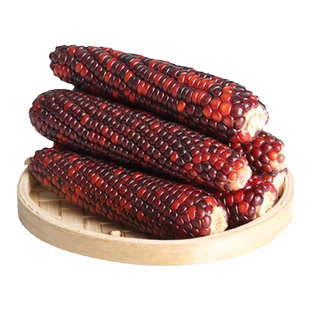 金丝熊仓鼠磨牙棒可食用石兔子神器玩具苹果枝甜竹玉米专用品大全