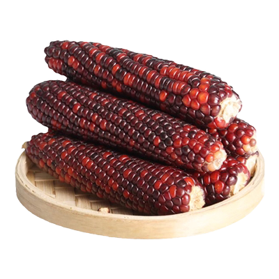 金丝熊仓鼠磨牙棒可食用石兔子神器玩具苹果枝甜竹玉米专用品大全