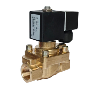 QJ5241015吹瓶机械高压阀压缩机阀水阀气阀注塑机阀 AC220V DC24V