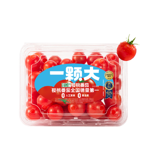 【一颗大】宝石樱桃番茄新鲜自然熟孕妇生吃水果小西红柿