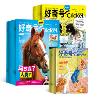 【1月现货速发】 好奇号杂志 2026/2025年订阅/全年 半年 季度 单期订阅 6-12岁小学生通识教育少儿科普百科启蒙童书 文 杂志铺