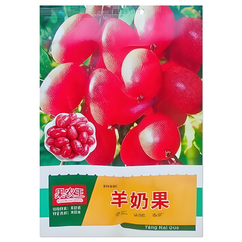 羊奶果种子种籽南北方种植