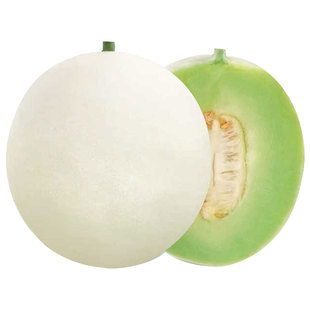 瓜种大全甜瓜种子种籽苗秧瓜类秧苗羊角蜜密哈密瓜孑子绿宝石瓜苗