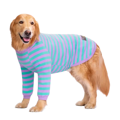 棉大狗衣服喵嘟嘟工厂直销