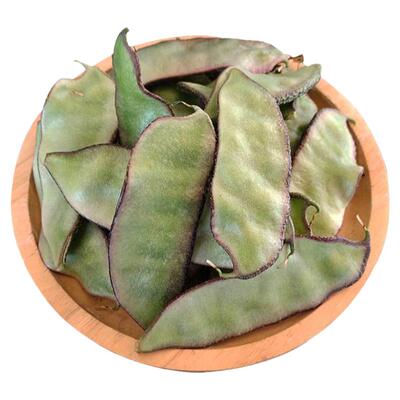 蔬菜边边红扁豆阳台庭院四季种子