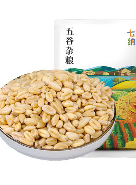 云南小麦粒新货上市颗粒饱满