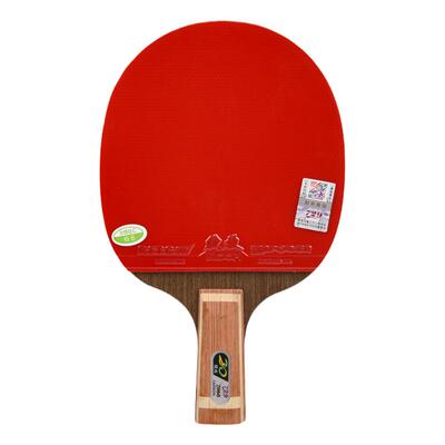 友谊729乒乓球拍学生初学者