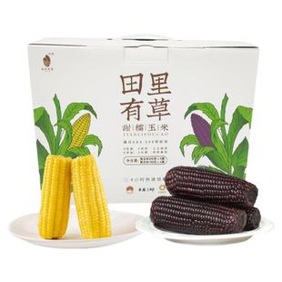 田里有草新鲜甜糯黑白混合装东北非转基因真空包装玉米早餐代餐