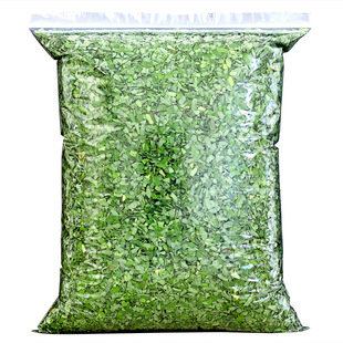 广西新鲜鸡骨草茶野生叶子草叶益肝500g泡茶正品相思叶鸡骨草茶叶