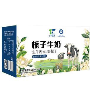 【新日期】天太茉莉栀子牛奶 250ml*24盒风味奶整箱批发