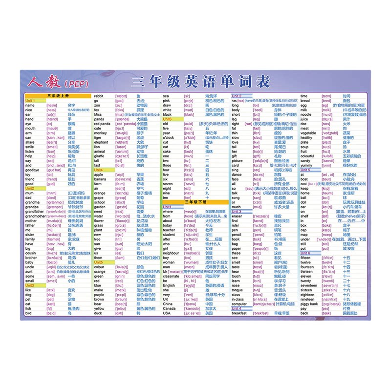 PEP英语单词防水可携带A4贴图