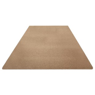 入户门地垫仿剑麻高级可裁剪耐脏门垫玄关地毯进门门口脚垫防猫抓