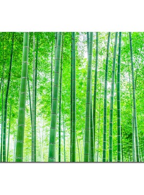 步步高升客厅是风水画欧零聚财