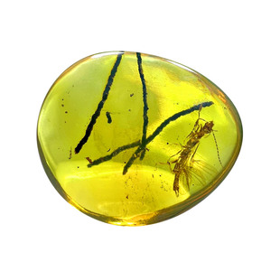 天然缅甸琥珀原矿净水金蓝金珀血珀远古水胆植物虫珀蛋面水滴吊坠