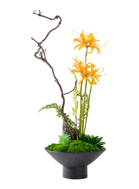 中古风宋氏美学书房样板间展示柜木化石书档软装饰品摆件组合搭配