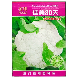 青梗松散花菜种子耐湿耐寒70天80天90天120天白花椰菜种籽2克