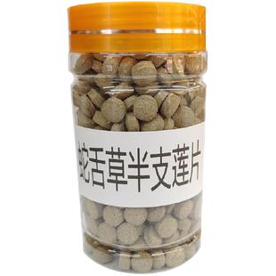 云南白花蛇舌草半支莲磨粉压片百花蛇舌草半支莲片正宗中药材包邮