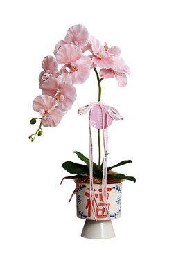 家居摆件青花瓷+蝴蝶兰新中式