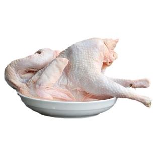 土鸡老母鸡洪湖莲子鸡农村散养湖区下蛋老母鸡家稻谷喂养