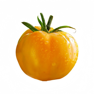 沙瓤老品种带土球西红柿种子