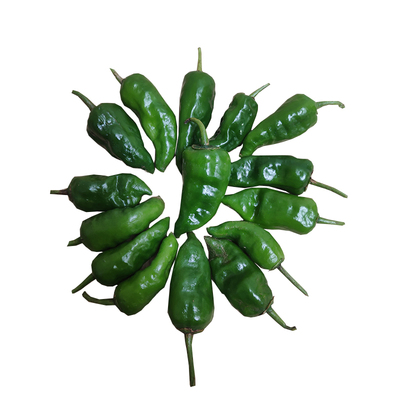 2026年新货包邮枫树丰收现摘辣椒