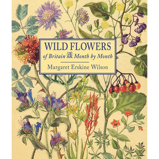 现货 Wild Flowers of Britain: Month Month 玛格丽特的四季英国野花 Margaret Erskine Wilson 植物学家水彩绘画作品图书