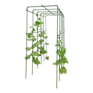 黄瓜爬藤架种菜蔬菜番茄豆角四季豆架杆花卉植物支撑杆瓜棚搭架子