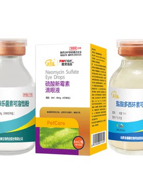 笨笨宠鹦鹉鸽子眼红支原体打喷嚏