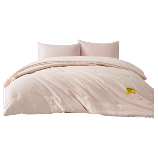 TEVEL/堂皇全棉A类被子大豆纤维春秋被加厚冬被二合一子母被