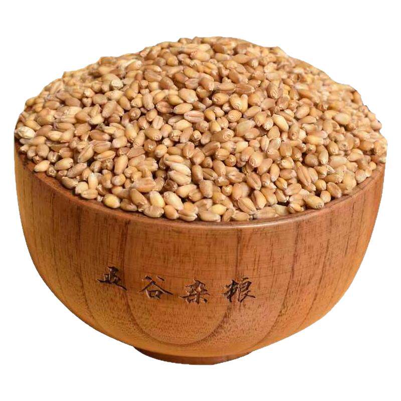 24年优质小麦粒50斤带皮不含农药猫草小麦苗喂鸡喂鸟钓鱼当季新粮