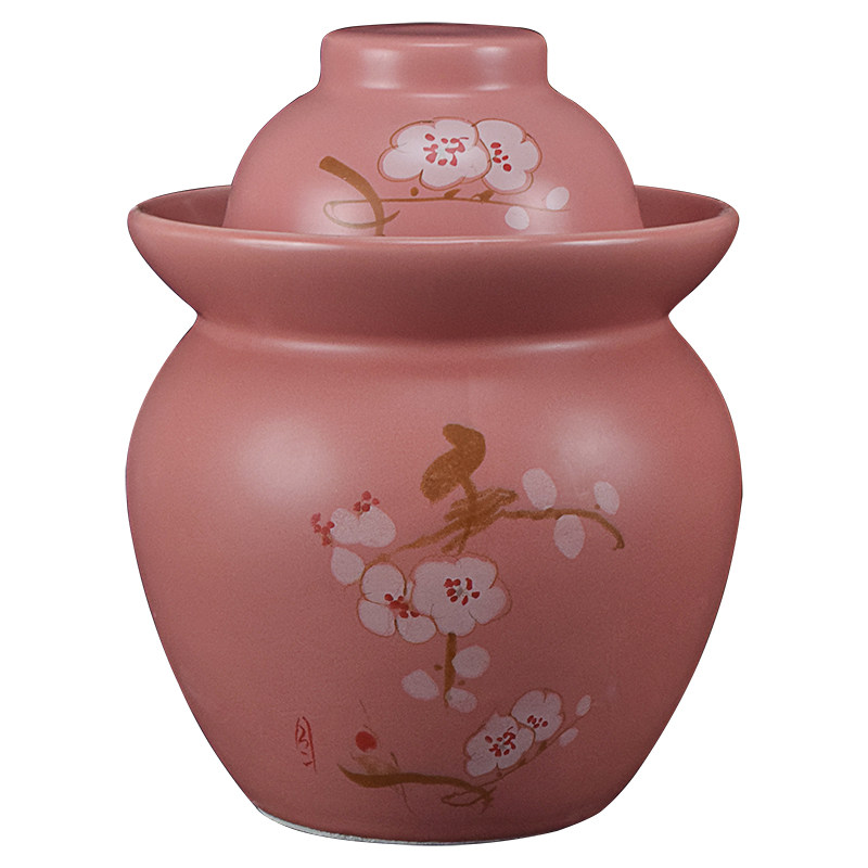 宝曦瑶泡菜坛子带盖家用