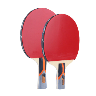 VHSG未时光乒乓球拍单拍1只专业级八星正品横拍直拍蝴蝶同款球拍