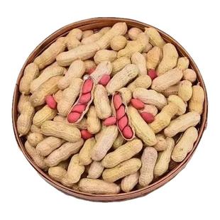 东北带壳红皮花生农家新货新鲜生的四粒红花生米农家自种颗颗精选