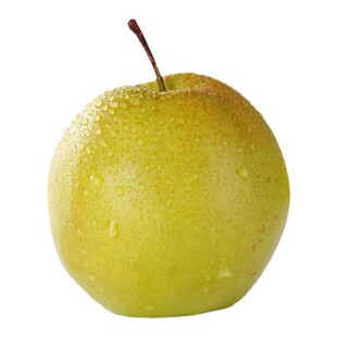 小西天山西隰县玉露香梨子新鲜水果礼盒装孕妇水果皮薄肉厚4.5斤