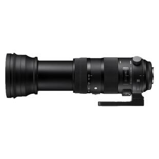 Sigma适马150-600mm F5-6.3 DG OS HSM 超长焦单反镜头打鸟/运动