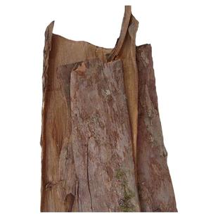 红豆杉皮正品抗含紫杉醇赤柏松南方红豆杉树皮另有叶果根原料包邮