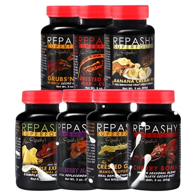 REPASHYR属睫角果泥守宫果泥