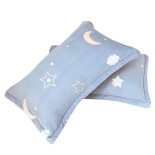 加厚牛奶绒枕套一对装48x74cm单人水晶绒枕头套印花法兰绒枕芯套