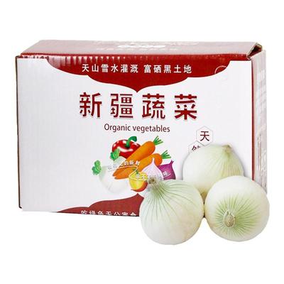 新疆白皮牙子洋葱蔬菜