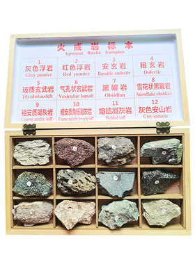 天然原石三大类岩石手标本各48种