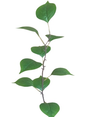 桦树叶子假植物白桦白树枝塑料
