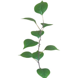 果树芒果树仿真假树叶树枝装饰果树桦树叶子假花植物果树绿植塑料