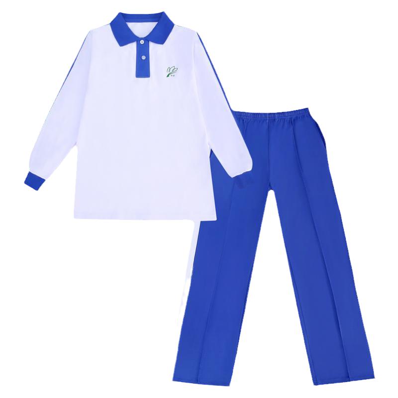 特级版深圳市校服小学生