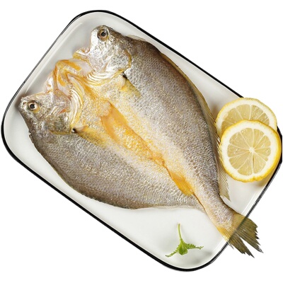 【胡可推荐】贝先森东海大黄鱼400-600g3条黄花鱼新鲜冰冻